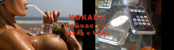 стаф Абинск