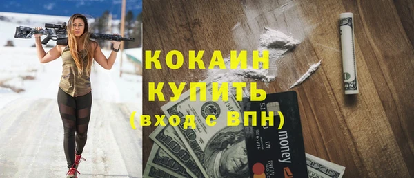 стаф Абинск